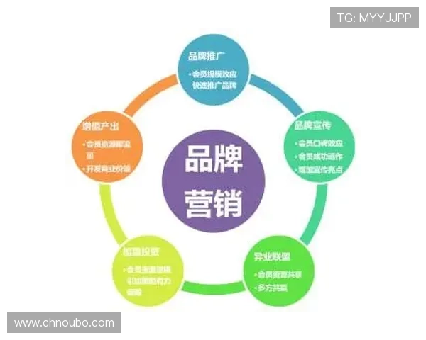 欧 博的市场营销策略与品牌推广案例，解析其在激烈市场中的品牌塑造技巧