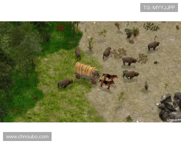 欧博游戏c的丰富游戏类型与特色主题，满足不同玩家的多样需求