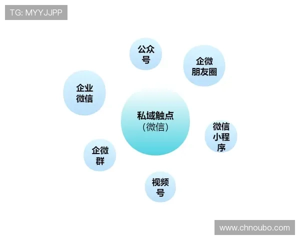 全面解析欧博网站开户流程及常见问题解决方案新手必看