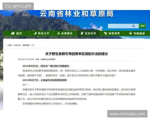 欧博abg客服常见疑问解答及专业建议提供优质服务 欧博abg客服常见疑问解答及专业建议提供优质服务